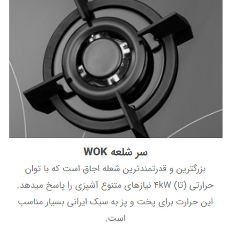 اجاق گاز صفحه ای استیل البرز مدل G5954