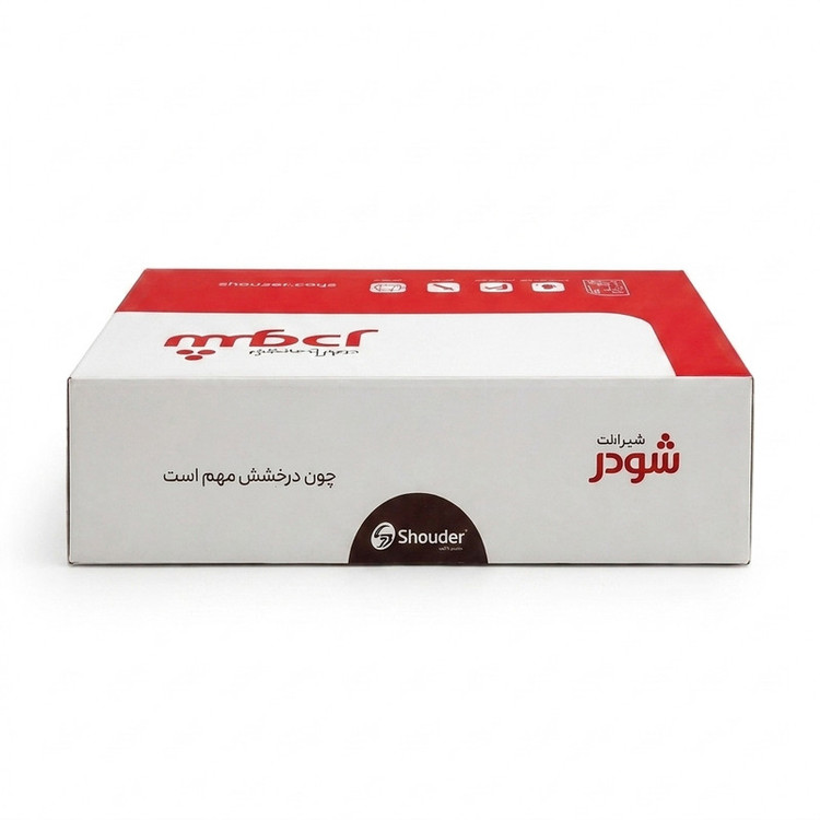 شیر توالت توکار شودر مدل روگن